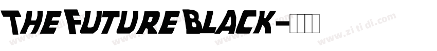The Future Black字体转换